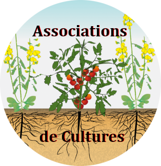 associations de culture